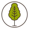 Aurora Tree Service